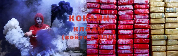 мяу мяу мука Новозыбков