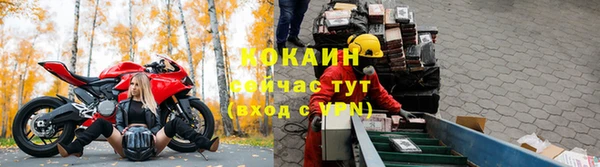 ешки Новодвинск